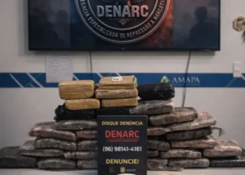Planejamento estratégico da Polícia Civil apreende 33kg de drogas em Macapá