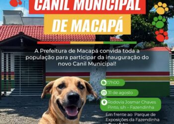 Macapá ganha novo Canil Municipal nesta segunda-feira